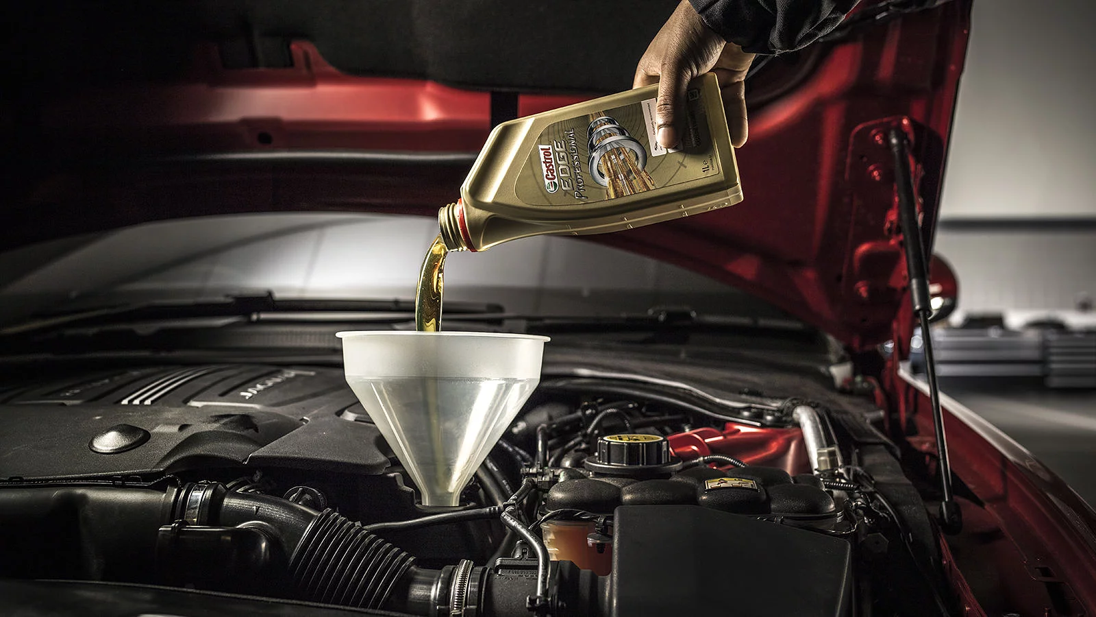Oil & Filters